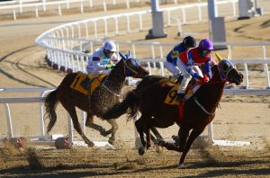 Where to Best Odds for Horse Racing: Pro Tips to Win in India (2026)
