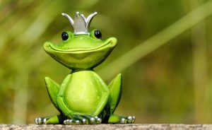 Is Legal King of Satta App Download Legal in India? Complete 2026 Guide